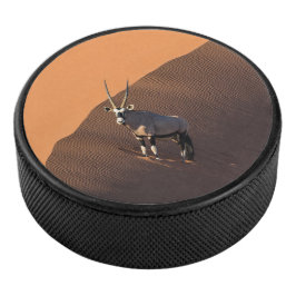 Disco De Hockey Oryx al borde, Namibia