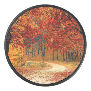 Disco De Hockey otoño en el bosque