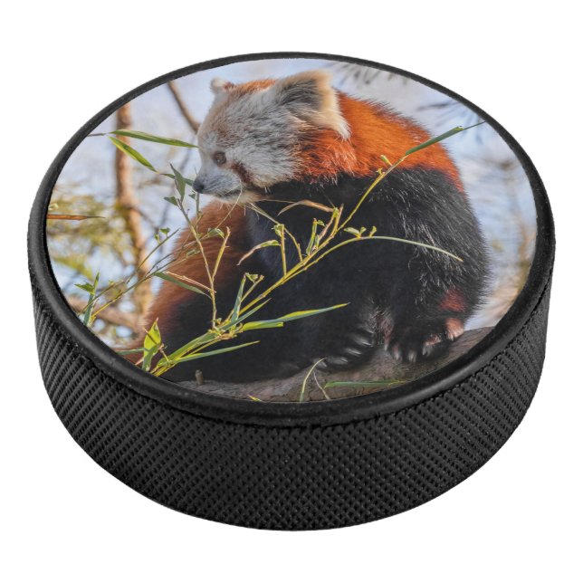 Disco De Hockey Panda rojo (3/4)