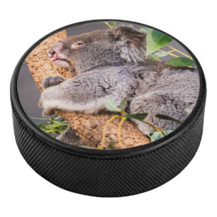 Disco De Hockey Pequeña koala dulce