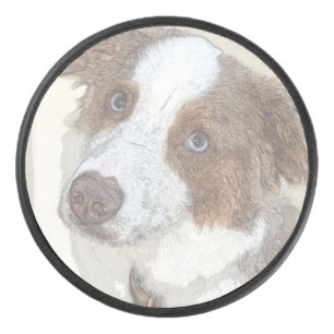 Disco De Hockey Perro, descanso, Mascota