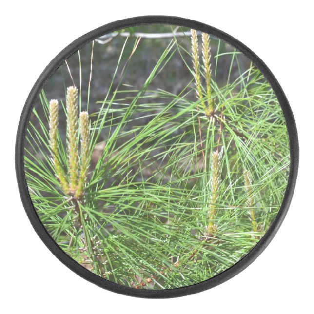 Disco De Hockey Pine Needles por Kenneth Yoncich (Anverso)