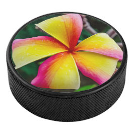 Disco De Hockey Plumeria rubra