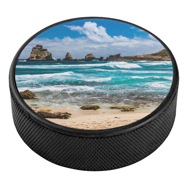 Disco De Hockey Pointe des Chateaux, Grande-Terre, Guadalupe (3/4)