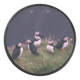 Disco De Hockey Puffins atlánticos