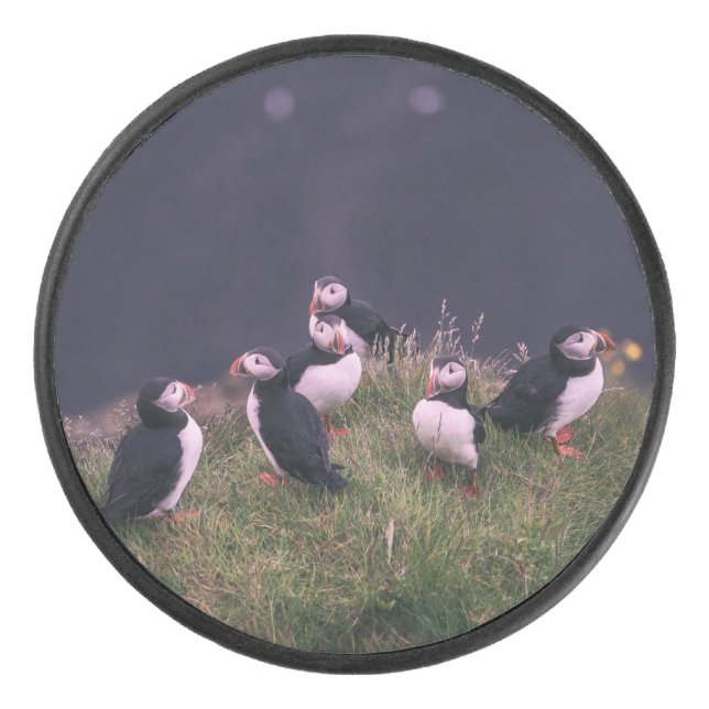 Disco De Hockey Puffins atlánticos (Anverso)