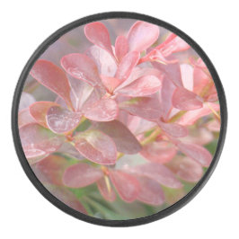 Disco De Hockey Ramas rosadas de bonito