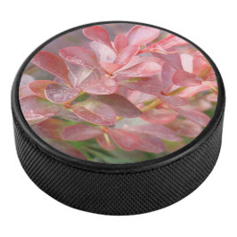 Disco De Hockey Ramas rosadas de bonito
