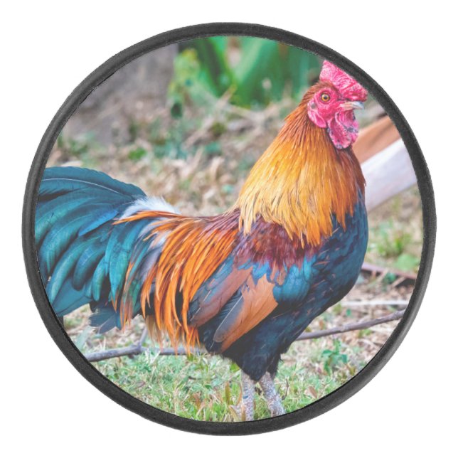Disco De Hockey Red junglefowl (Anverso)