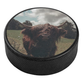 Disco De Hockey Retro vintage de vacas de raza negra escocesa