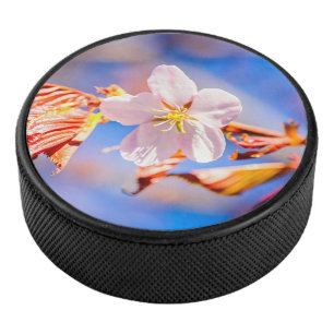 Disco De Hockey Rosa Sakura Flower Blue Sky