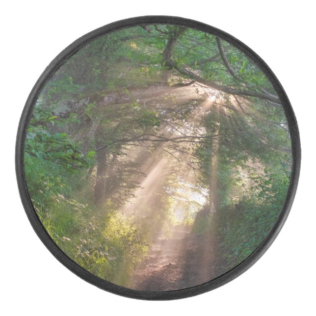 Disco De Hockey Ruta forestal (Anverso)