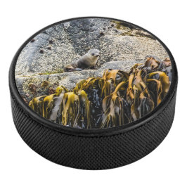 Disco De Hockey Sello De Piel Joven En La Roca