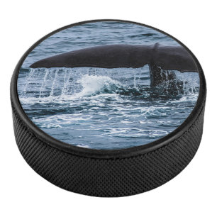 Disco De Hockey Sperm Whale