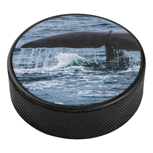 Disco De Hockey Sperm Whale (3/4)