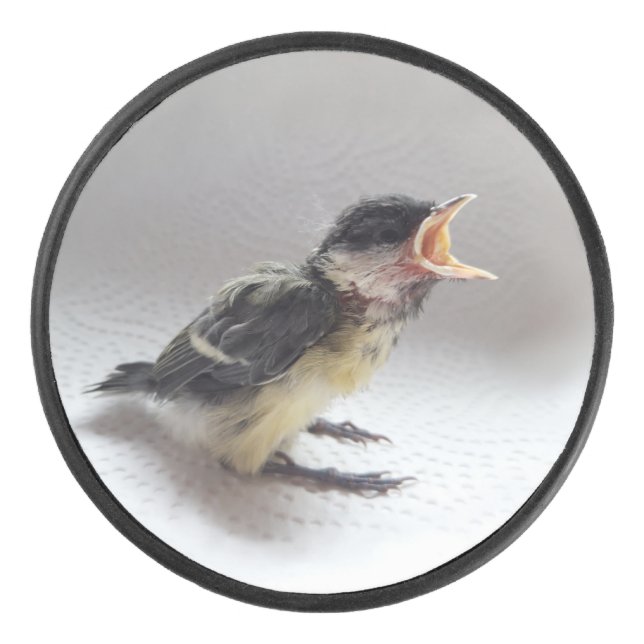 Disco De Hockey Tidi my Bird the Parus Major (Anverso)