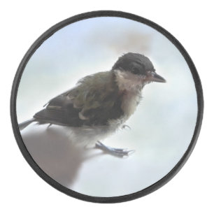 Disco De Hockey Tidi my Bird the Parus Major