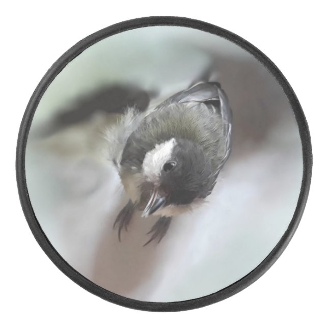 Disco De Hockey Tidi my Bird the Parus Major (Anverso)