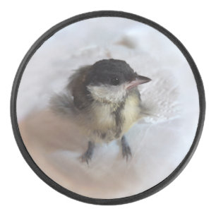 Disco De Hockey Tidi my Bird the Parus Major