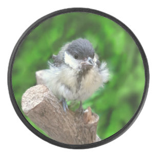 Disco De Hockey Tidi my Bird the Parus Major