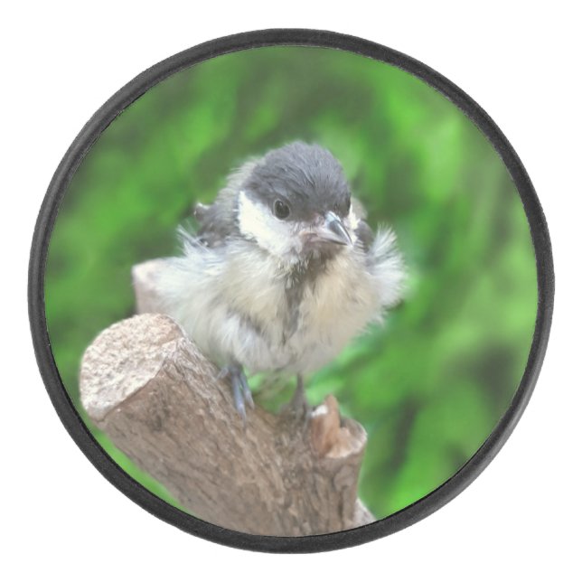 Disco De Hockey Tidi my Bird the Parus Major (Anverso)