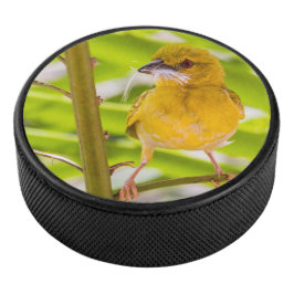 Disco De Hockey Tiempo de construir el nido