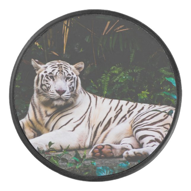 Disco De Hockey Tigre (Anverso)