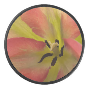 Disco De Hockey Tulipán rosa y amarillo