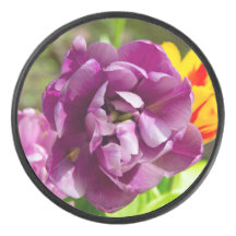 Tulipanes lila en un día soleado