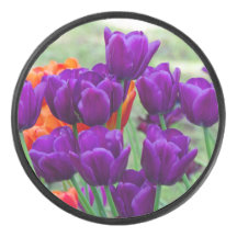 Tulipanes morados oscuros en un día soleado en el