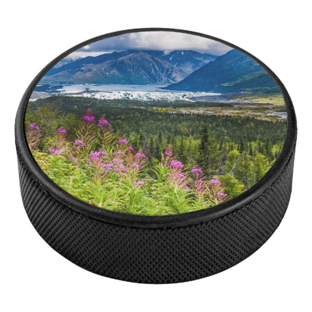 Disco De Hockey Valle de Matanuska, Alaska del Sur (3/4)