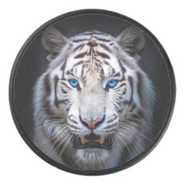 Disco De Hockey White Tiger Blue Eyes