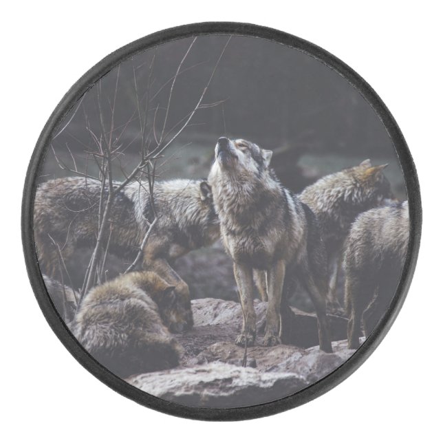 Disco De Hockey Wolf Pack (Anverso)