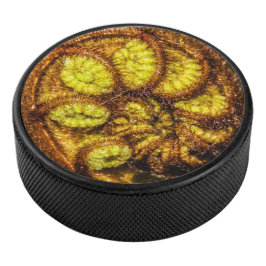 Disco De Hockey Young Fern Leaves