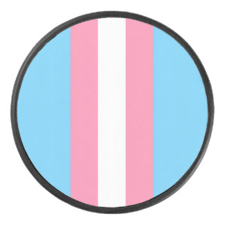 disco vertical de hockey con bandera trans