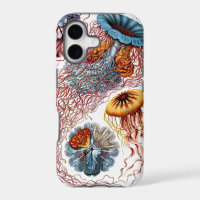 Discomedusus por Ernst Haeckel