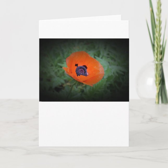 Discoteca, tarjeta (Anverso)