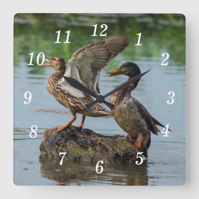 Disculpe el reloj de pared (Anverso)