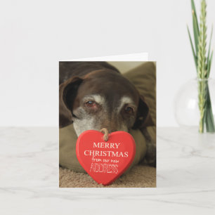 Discurso de Navidad de Feliz Navidad en Alemania