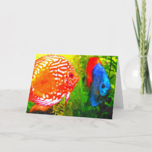 Discus aquarium fish todas las ocasiones tarjeta d