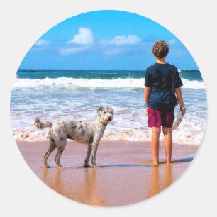 Diseña tus propias pegatinas de fotos de mascotas 