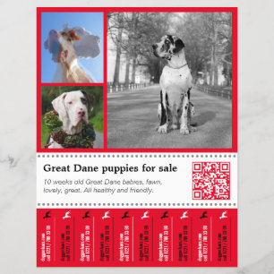 Diseñador Tear off Great Dane Flyer