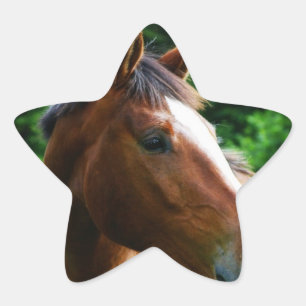 Diseñar su propia forma de estrella de Pegatinas d