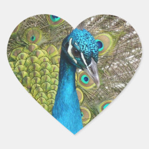 Diseñar su propio Personalizado Pegatinas fotográf