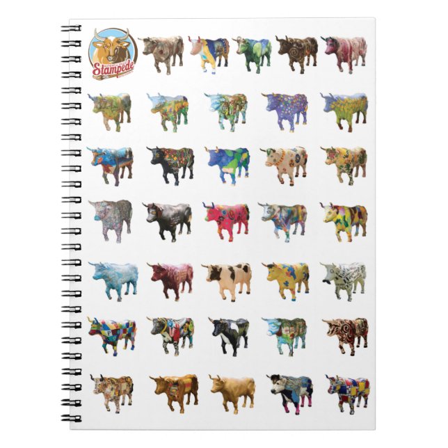 Diseño #1 del cuaderno de la precipitación (Frente)