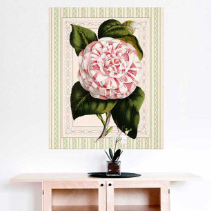 Diseño atractivo Camellia Vintage de Arte Botánico