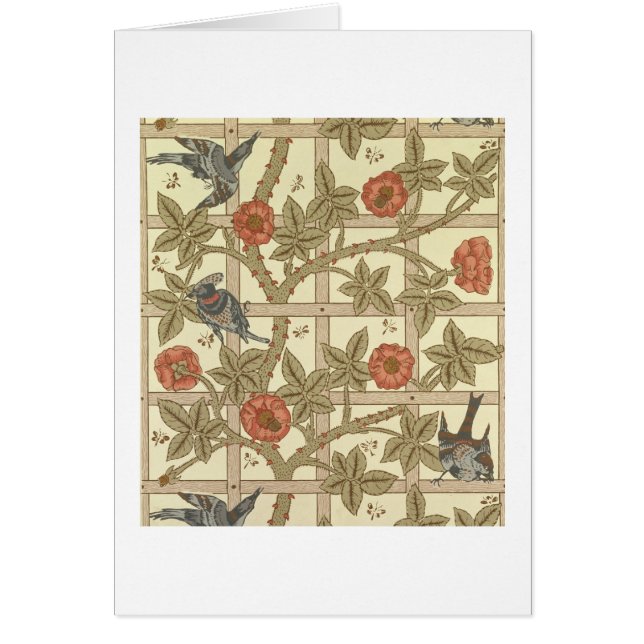 Diseño azul y anaranjado del papel pintado del (Frente)