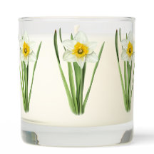 Diseño botánico de flores de Daffodil