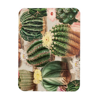Diseño Cactus Imán de Fotografía Flexible
