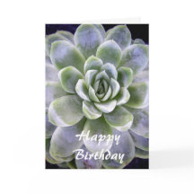 Diseño de cactus - Tarjeta de saludo de cumpleaños